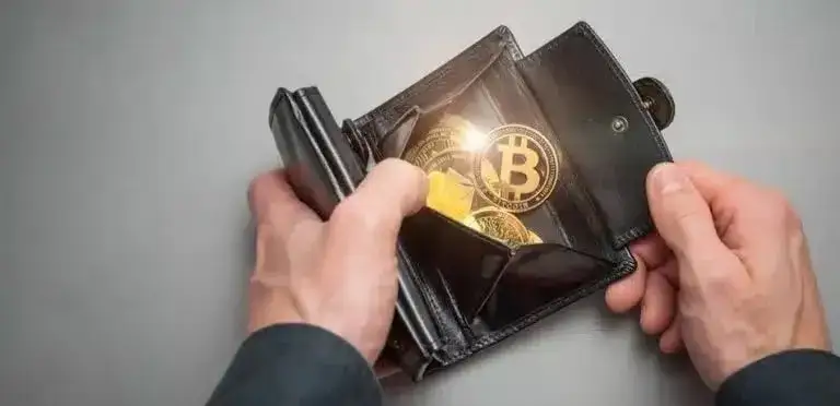 Zdjęcie Jak wybrać idealny portfel Bitcoin? Porównanie i wskazówki