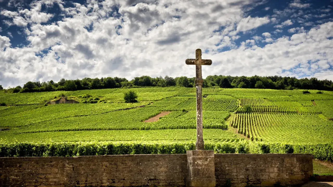 Croce in pietra su un vigneto rigoglioso, con file ordinate di viti che salgono sulla collina. Un paesaggio che evoca la qualità del chablis premier cru.