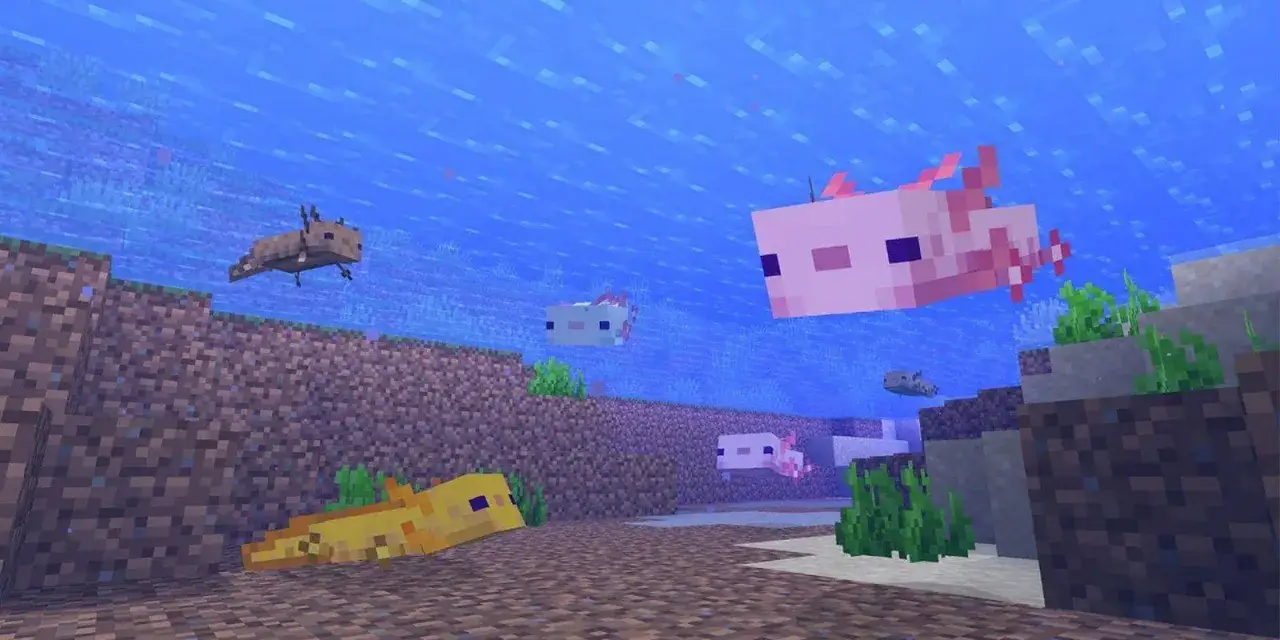 Podwodny świat Minecrafta pełen jest uroczych axolotli. Różowe, żółte i szare pływają wśród bloków i wodorostów.