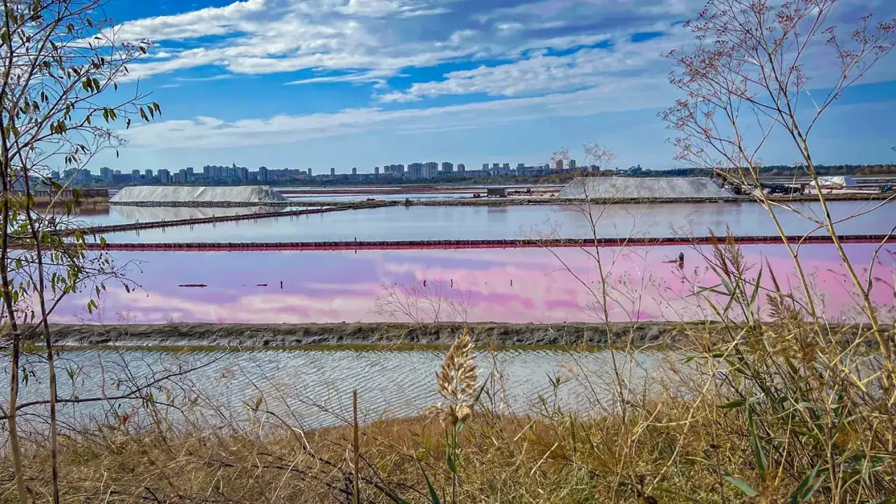 Różowe jeziora solne w Burgas, gdzie warto zobaczyć, odbijają błękitne niebo. W tle majaczy panorama miasta.
