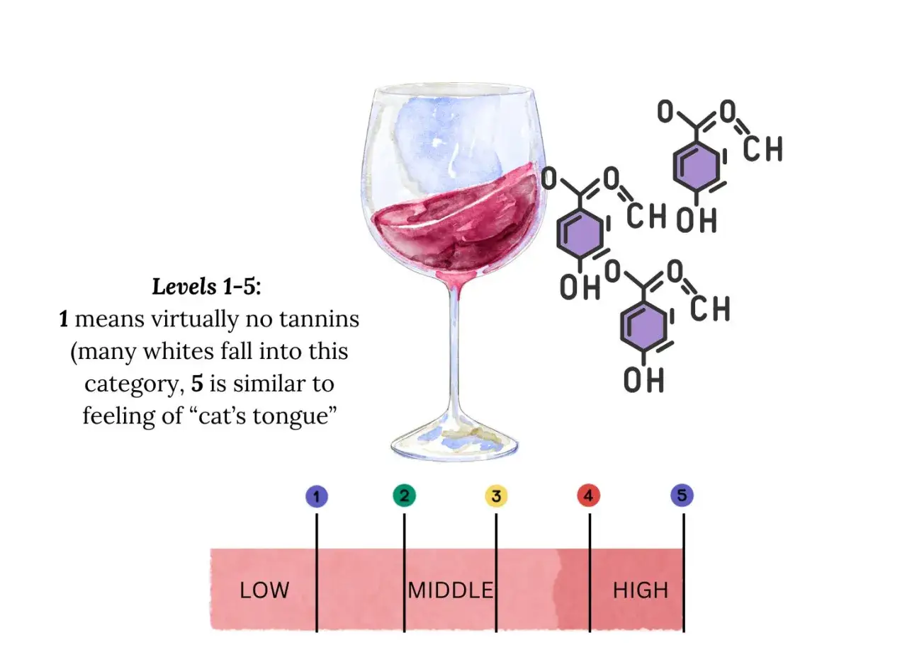 Wino w kieliszku i schemat chemiczny. Skala od 1 do 5 pokazuje poziom tanin, od niskiego do wysokiego. Tanina co to? To związki wpływające na odczucie w ustach.