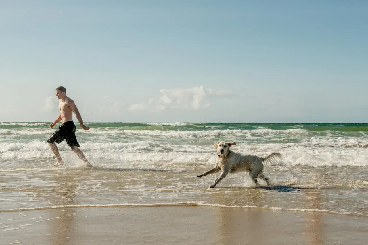 En man och hans hund njuter av en hund resa till Danmark vid havet. De springer glatt i vattnet på en sandstrand under en klarblå himmel.
