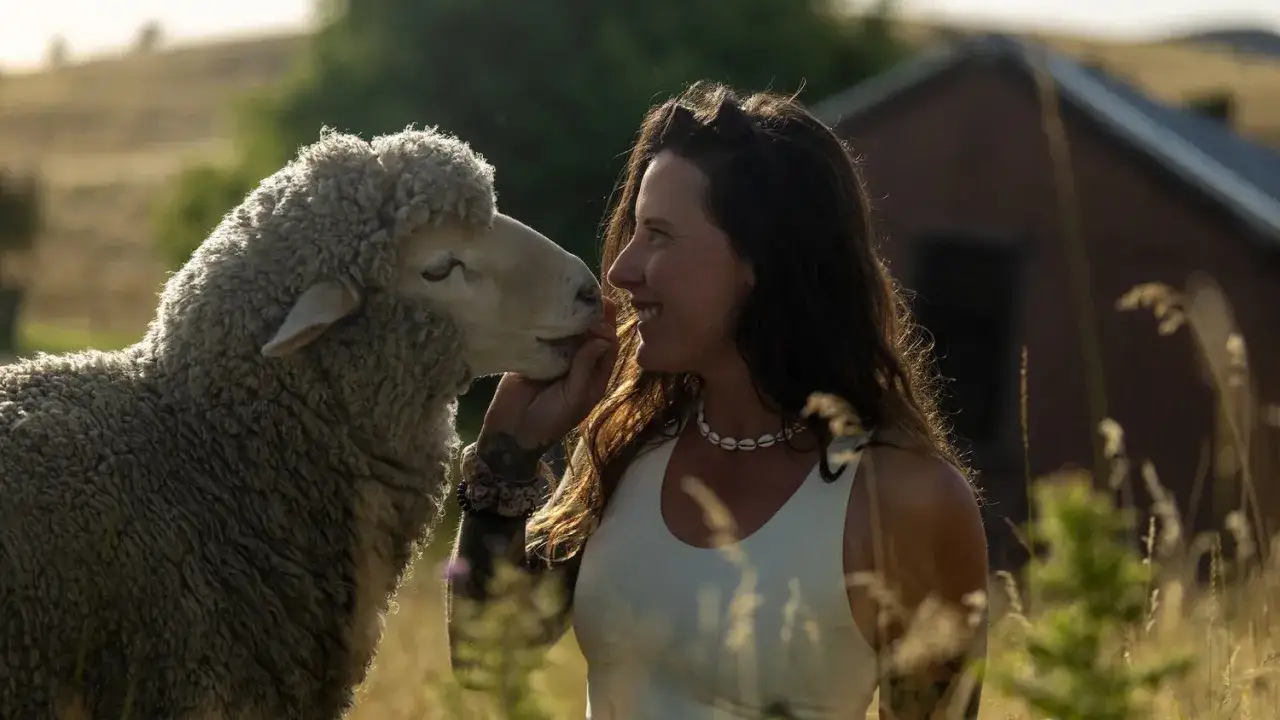 Frau streichelt Schaf. Sanfte Ber&uuml;hrung, die zeigt, dass Merino Wolle nicht immer mit Tierleid verbunden sein muss.