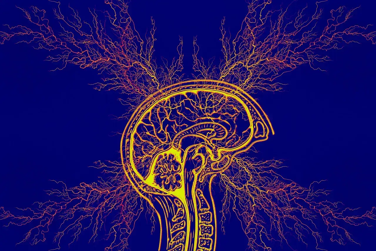 Definicja zespołu Tourette'a, m&oacute;zg neuroprzekaźniki