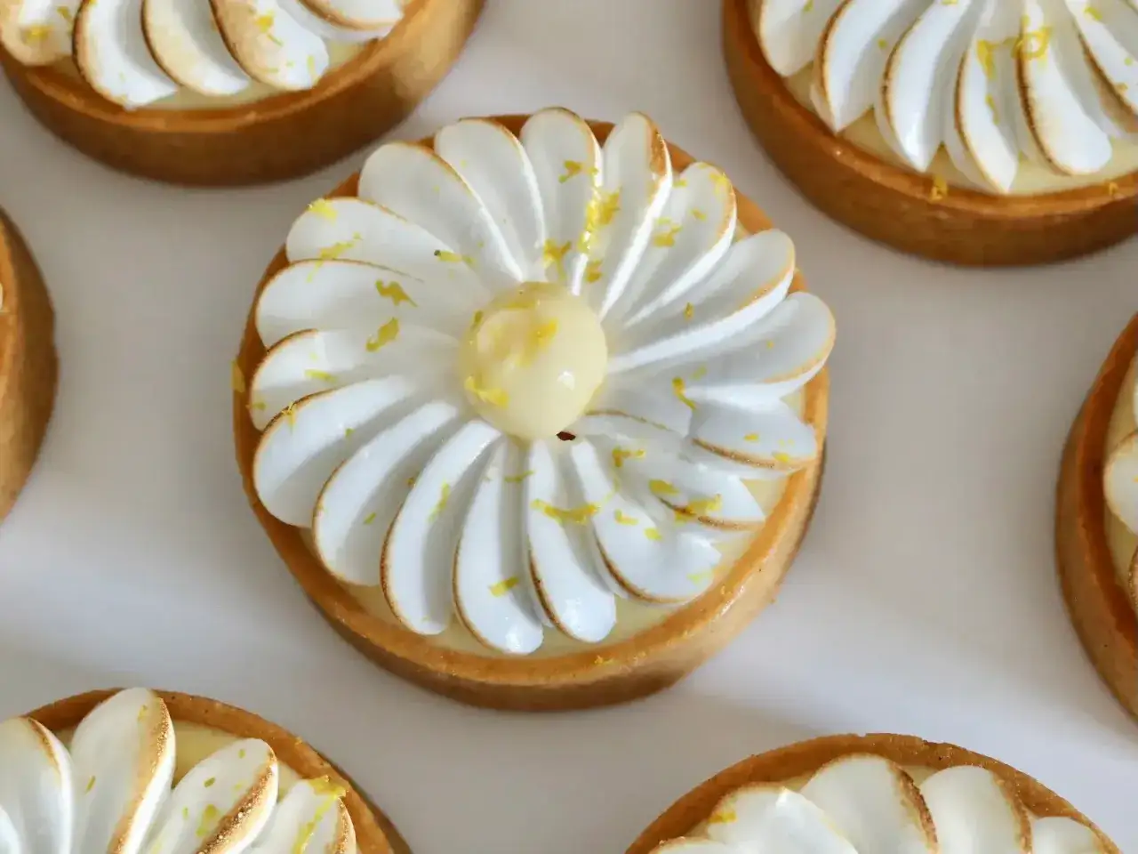 Plusieurs petites tartes au citron meringuées, décorées de zestes jaunes, disposées sur un fond blanc.