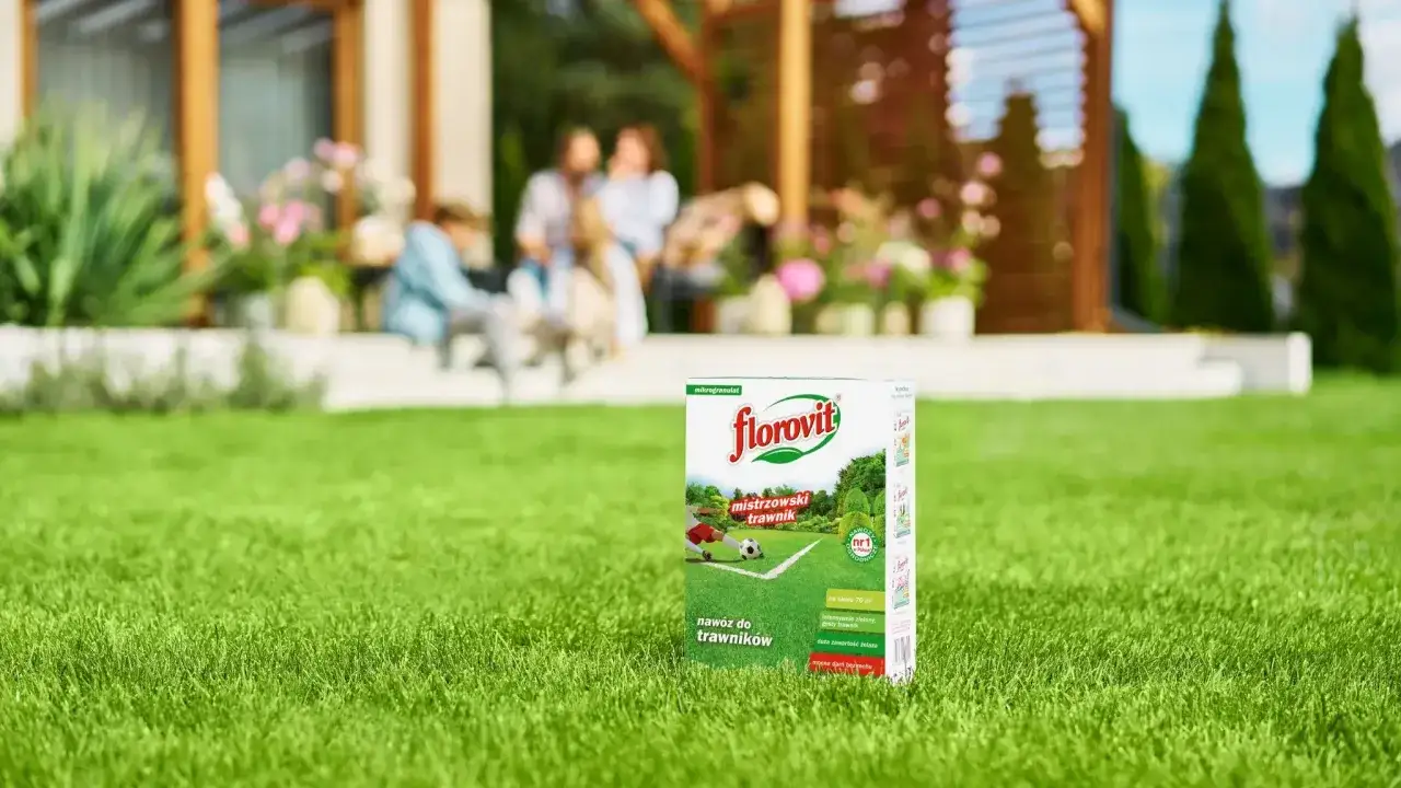 Zielony, gęsty trawnik i nawóz Florovit. Zastanawiasz się, jak szybko rośnie trawa? Ten produkt pomoże Ci osiągnąć mistrzowski efekt.