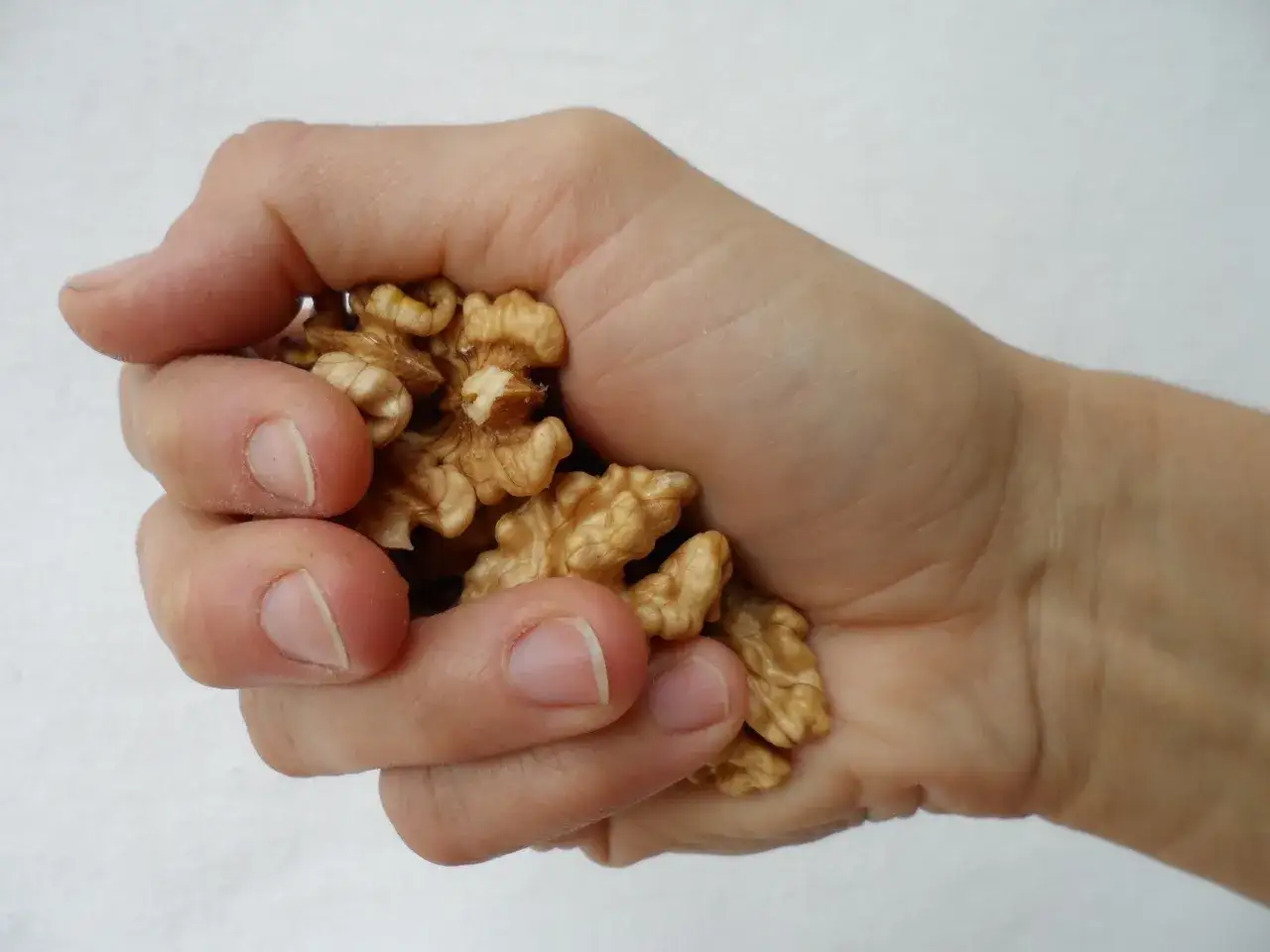 Mano che tiene una manciata di noci, un alimento salutare. Quante noci al giorno sono ideali per il benessere?