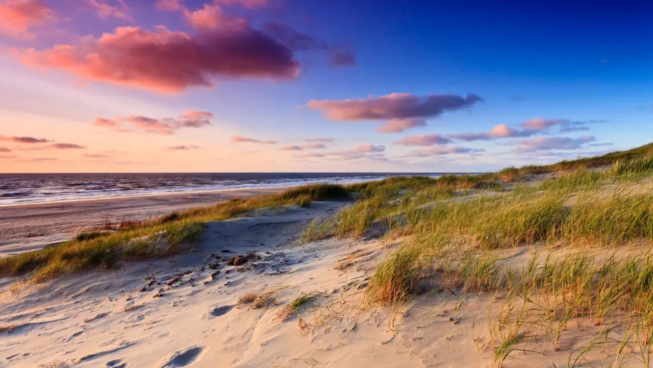 Sonnenuntergang &uuml;ber dem niederl&auml;ndischen Strand mit D&uuml;nen und Gr&auml;sern. Der Himmel ist in Rosa- und Blaut&ouml;ne getaucht.