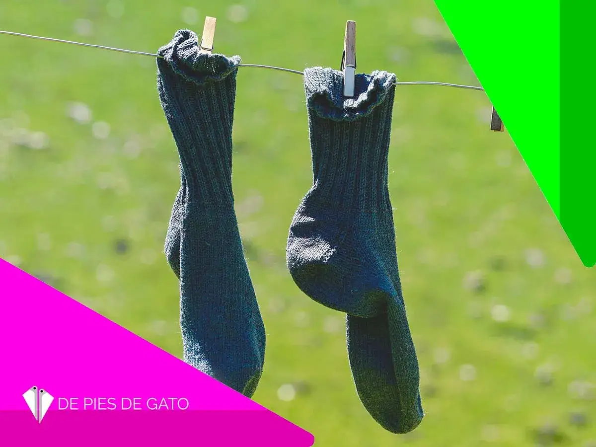 Dos calcetines oscuros secándose al sol, como si fueran pies de gato listos para la aventura.
