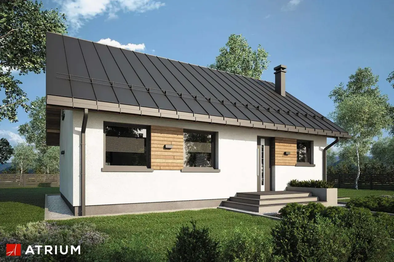 Nowoczesny dom z drewnianymi akcentami, idealny dla szukających funkcjonalnych projektów domów do 100m.