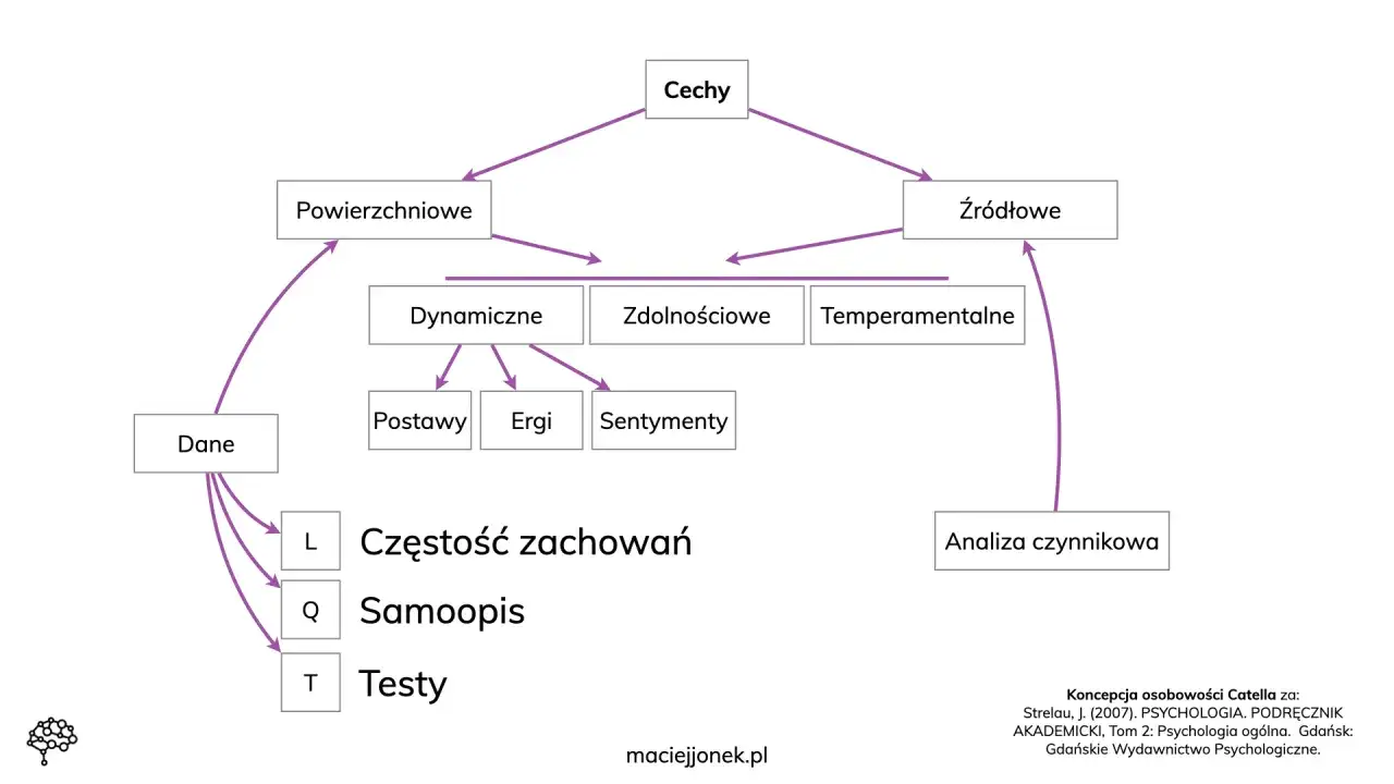 Schemat przedstawia holistyczne podejście do analizy cech osobowości, uwzględniając dane, cechy powierzchniowe i źródłowe.