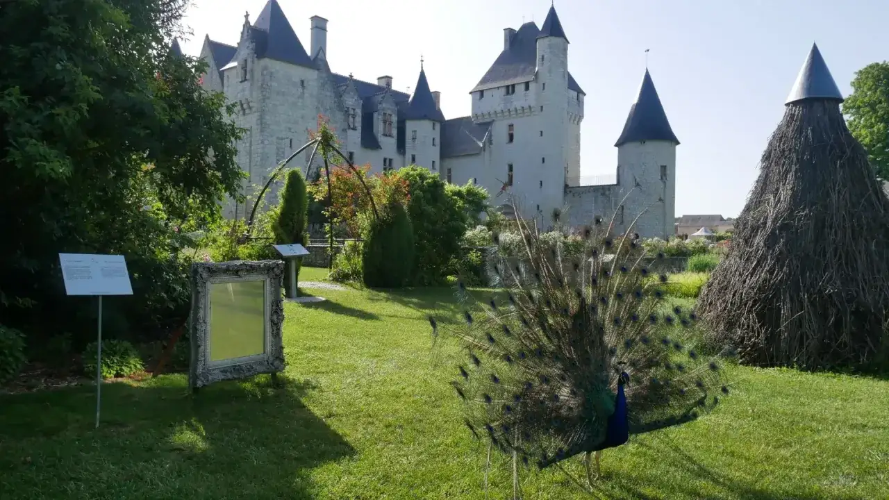 Un paon déploie sa roue devant le majestueux **château du Riveau**. Un miroir ancien et des panneaux informatifs complètent ce tableau bucolique.