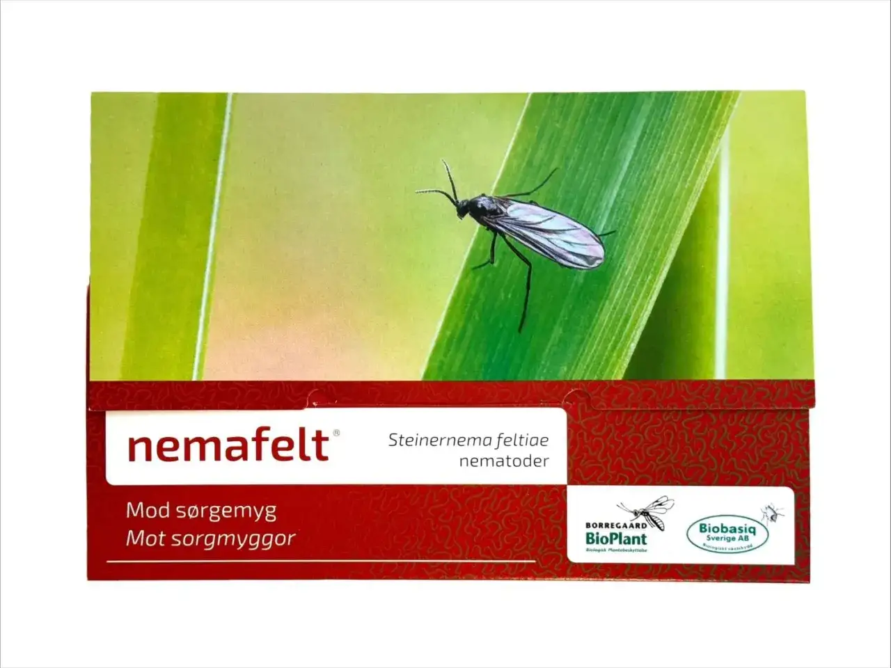 Nemafelt-förpackning med en sorgmygga på ett grässtrå. Produkten innehåller nematoder mot sorgmyggor.