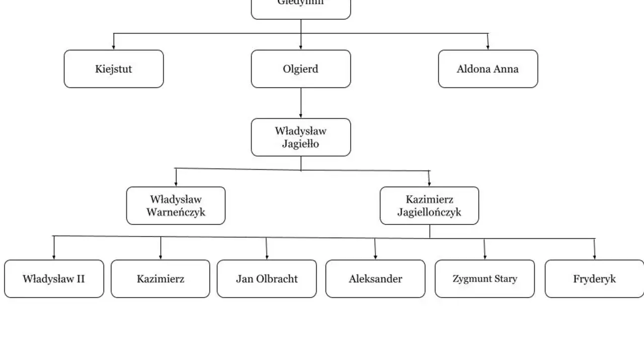 Drzewo genealogiczne Jagiellon&oacute;w. Wnuki Władysława Jagiełły to m.in. Władysław II, Kazimierz, Jan Olbracht, Aleksander, Zygmunt Stary, Fryderyk.