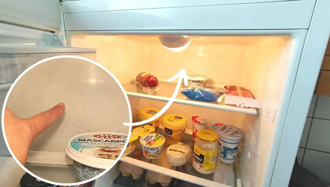 zatkany odpływ w lodówce