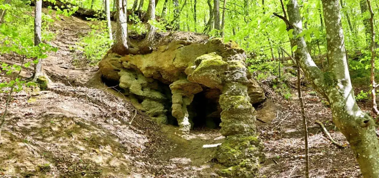 Kamienne formacje skalne, przypominające naturalne groty, porośnięte mchem i otoczone bujną zielenią lasu. Groty Mirachowskie zachwycają swoją unikalnością.