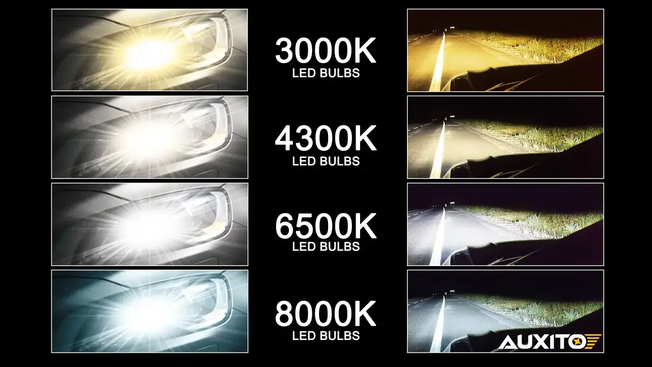 Comparativa de tipos de bombillas de coche LED: 3000K (amarillo), 4300K (blanco cálido), 6500K (blanco puro) y 8000K (blanco azulado).
