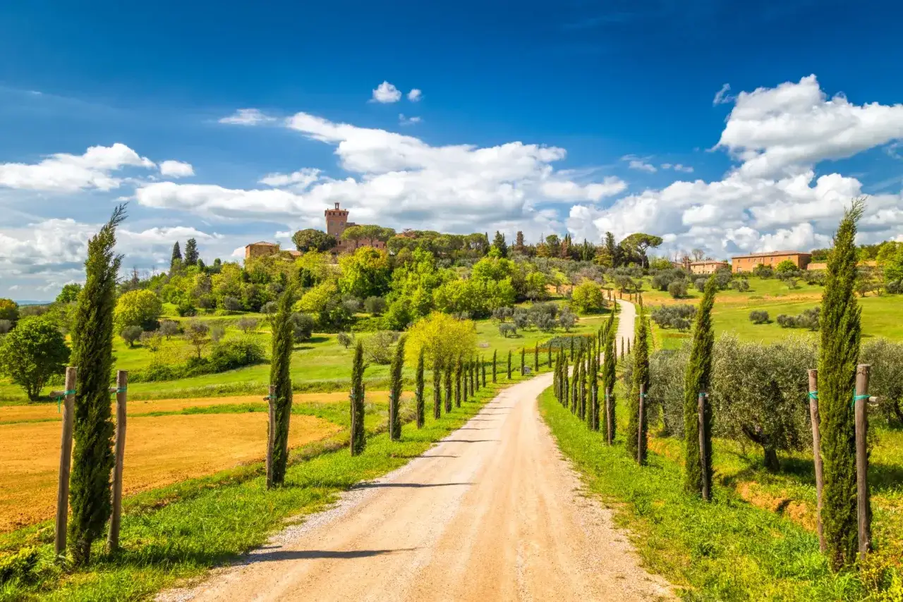 Strada sterrata che sale verso un borgo in collina, con cipressi e ulivi, perfetta per una gita in Toscana.