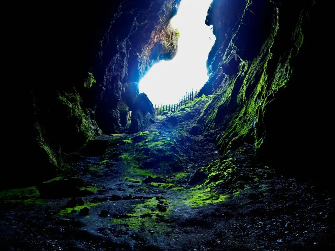 El sendero musgoso de Cova das Choias se abre hacia una luz brillante, invitando a explorar sus profundidades verdes y misteriosas.