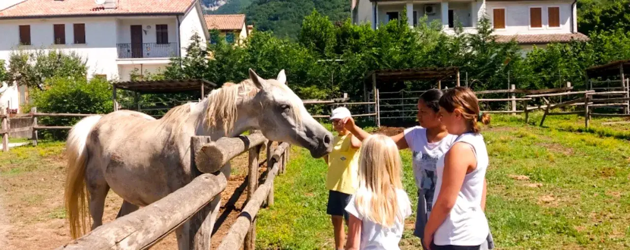 Bambini interagiscono con un cavallo bianco in un recinto, con case e alberi sullo sfondo. Un luogo ideale per fattorie con ristorante.