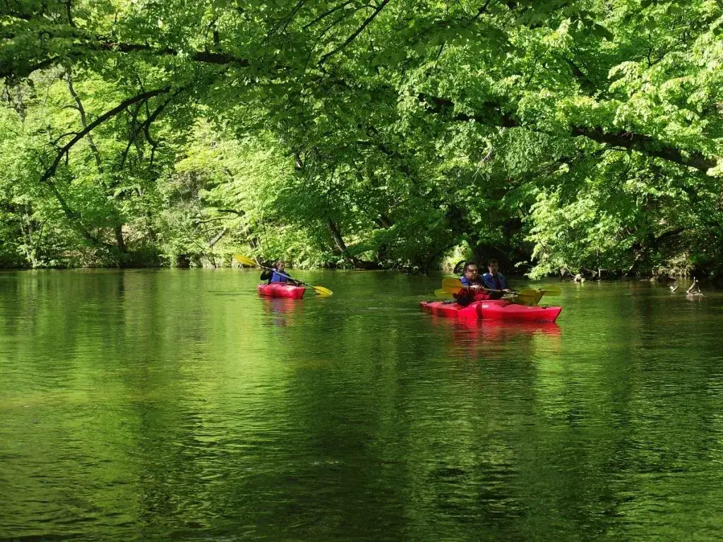 kajaki warmia mazury malownicze szlaki