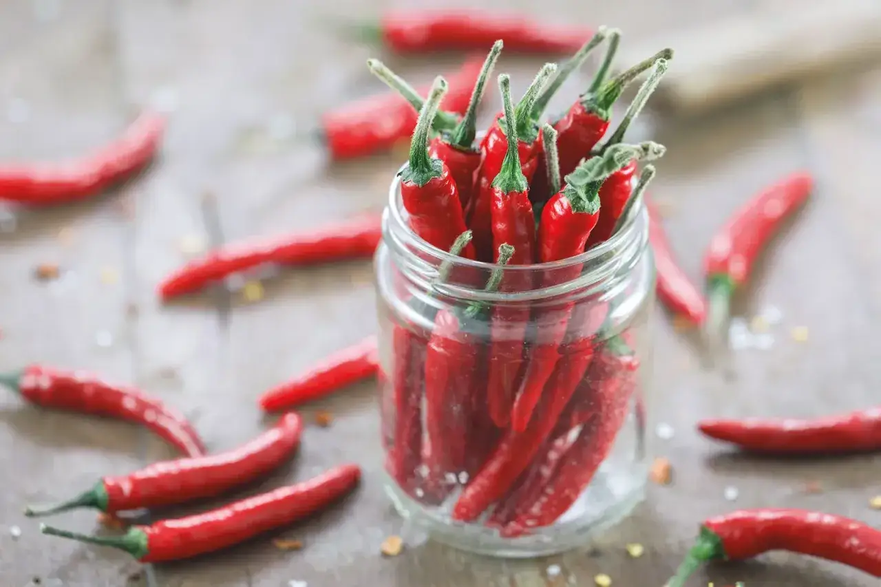 Słoik pełen ostrych papryczek chili, których czerwony kolor i kształt sugerują obecność kapsaicyny. Co to jest kapsaicyna? To związek chemiczny odpowiedzialny za ostrość papryczek.
