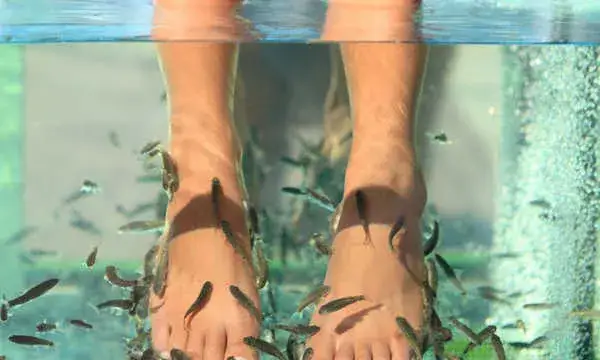 fish spa higiena