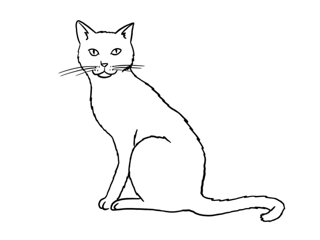 sitzende katze zeichnen einfach