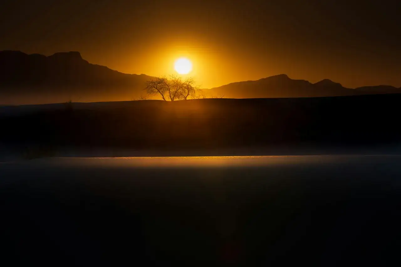 Un arbre solitaire se dresse sur une dune, baigné par la lumière dorée d'un magnifique coucher de soleil. Les montagnes se dessinent en silhouette à l'horizon.