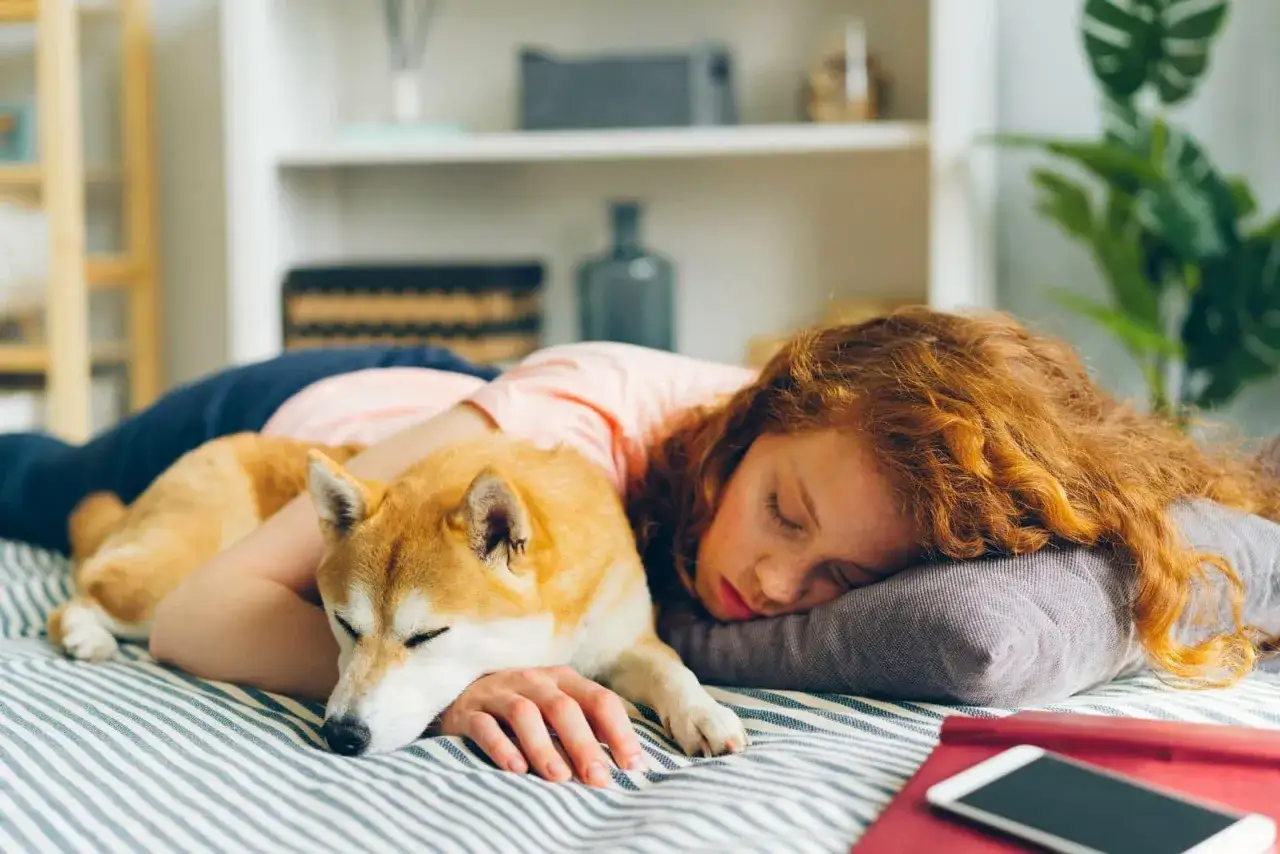A girl with red hair sleeps with her dog, a Shiba Inu, resting on her arm. This is why does my dog lay on me: for comfort and security.