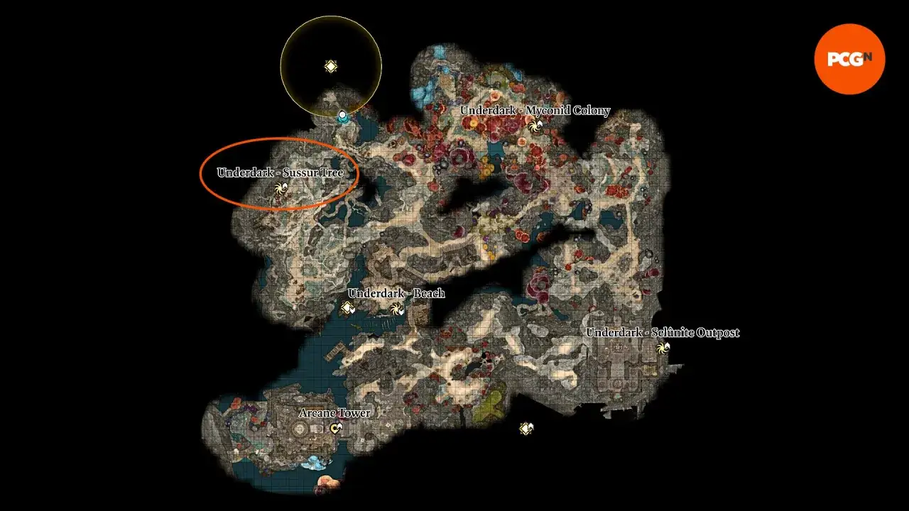 Mapa z Baldur's Gate 3, zaznaczony obszar Sussur Tree. Tu możesz stwórz mistrzowską broń.