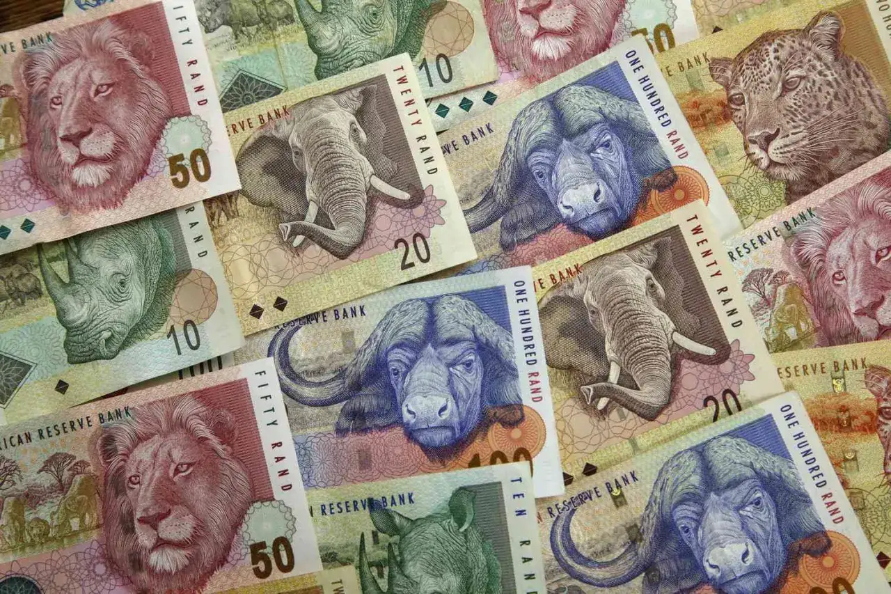 Zwierzęta z afrykańskiej sawanny zdobią banknoty waluty RPA: lwy, słonie, nosorożce, bawoły i lamparty.