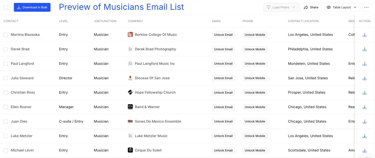 Preview of a musicians email list, showing contact details for musicians. This list is useful for email marketing for musicians.