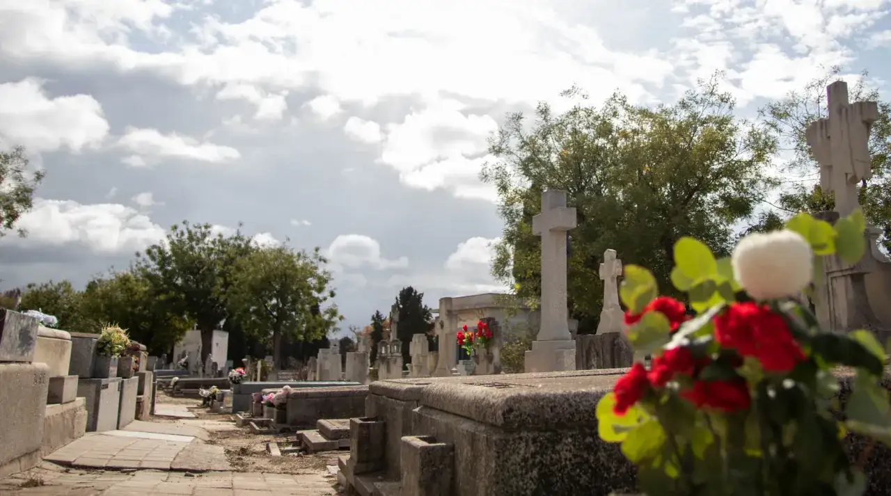 Cmentarz z krzyżami i nagrobkami. Czy można sprzedać miejsce na cmentarzu? Kwiaty na pierwszym planie.
