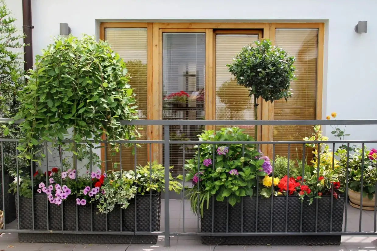 tanie rośliny na balkon w bloku