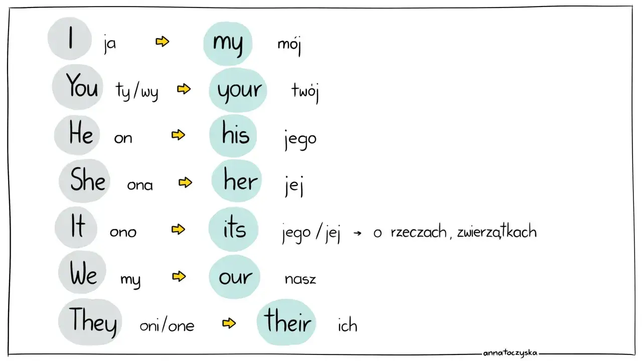 Tabela pokazuje zaimki dzierżawcze: my, your, his, her, its, our, their.