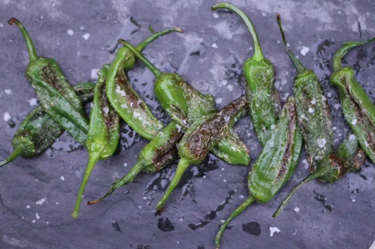 A pile of blistered, pan-fried Gernika peppers, glistening with oil and sprinkled with coarse sea salt, rest on a dark, textured surface.