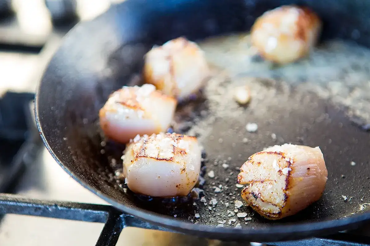 Poêlée de coquilles Saint-Jacques dorées et salées dans une poêle en fonte, prêtes à être dégustées.