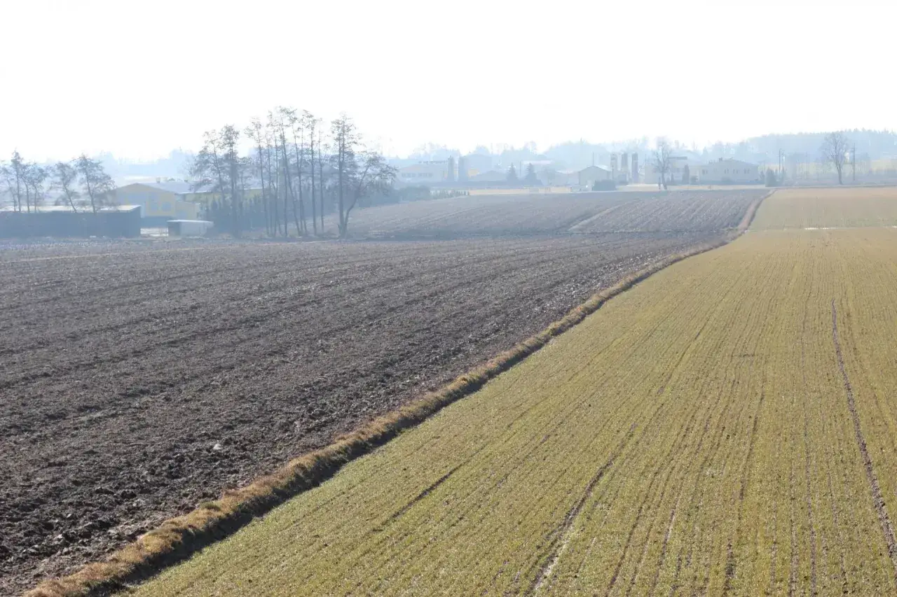 Pole uprawne i zaorana ziemia. Rozważasz zakup działki rolnej? Podatek od zakupu działki rolnej może być istotnym kosztem.
