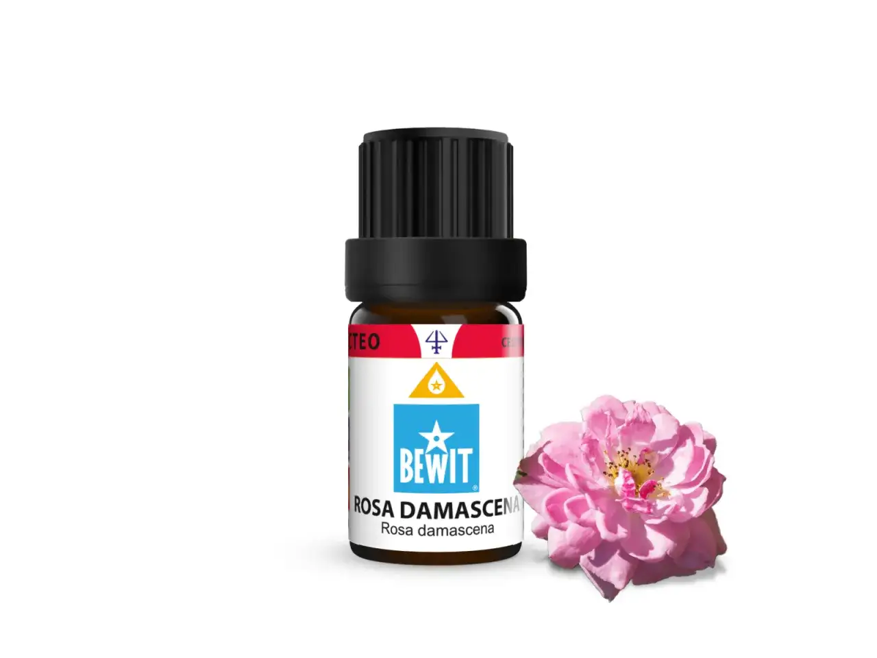 Eine kleine Flasche Rosen&ouml;l (Rosa Damascena) neben einer zarten rosa Rose. Die Wirkung von Rose auf die Psyche ist beruhigend und harmonisierend.