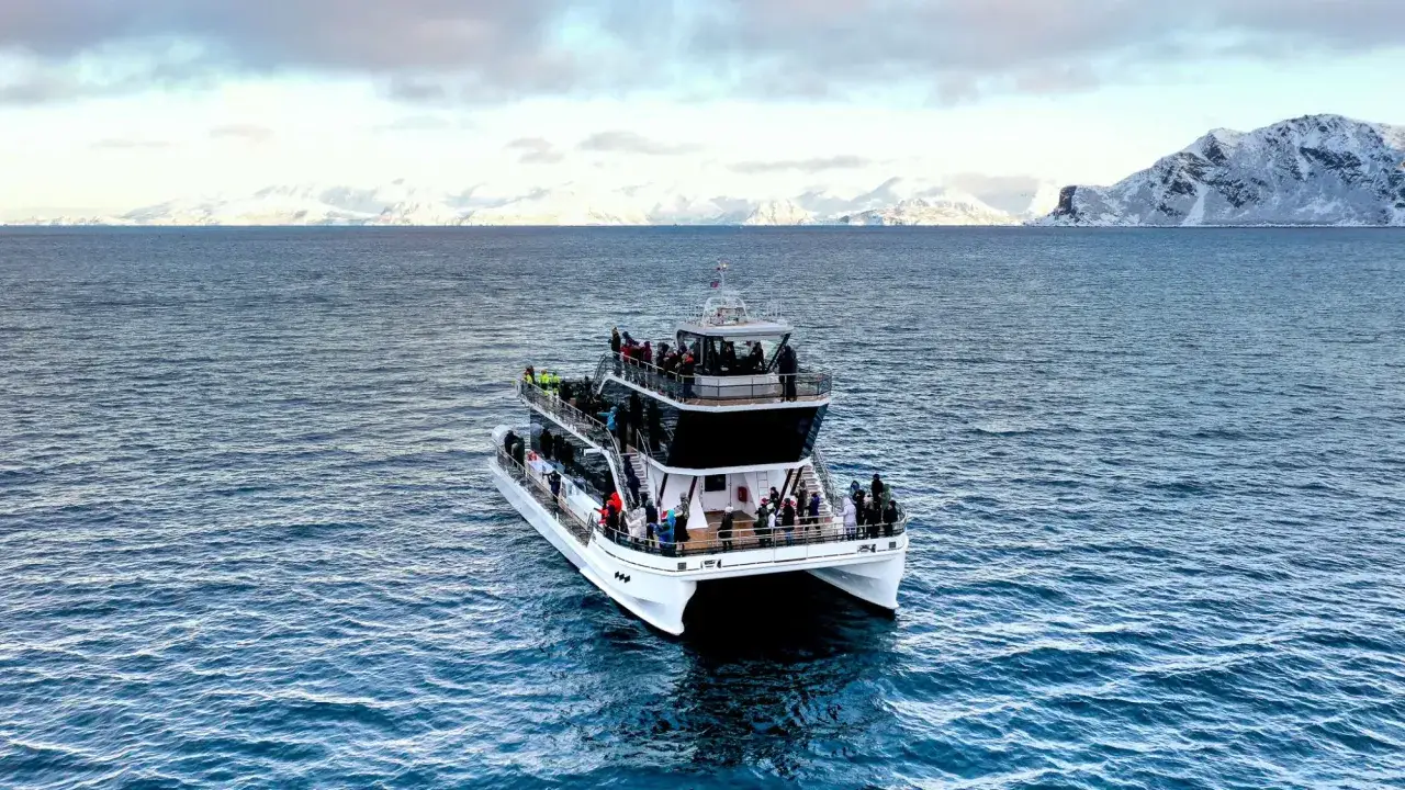 Tv&aring;delad b&aring;t med passagerare p&aring; en valsafari i Norge, med sn&ouml;kl&auml;dda berg i bakgrunden.