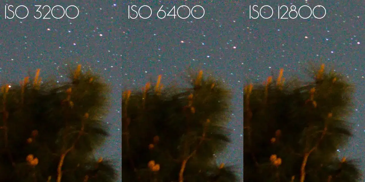 Comparaison de la photographie **iso** 3200, 6400 et 12800 sur un ciel &eacute;toil&eacute; et des branches d'arbre.