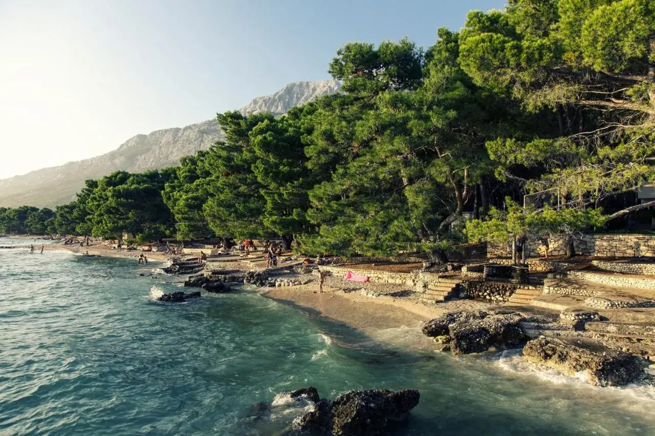 Słoneczna plaża z sosnami, kamienistym wybrzeżem i turkusową wodą. Idealne miejsce na relaks w **Baško Polje camping**.