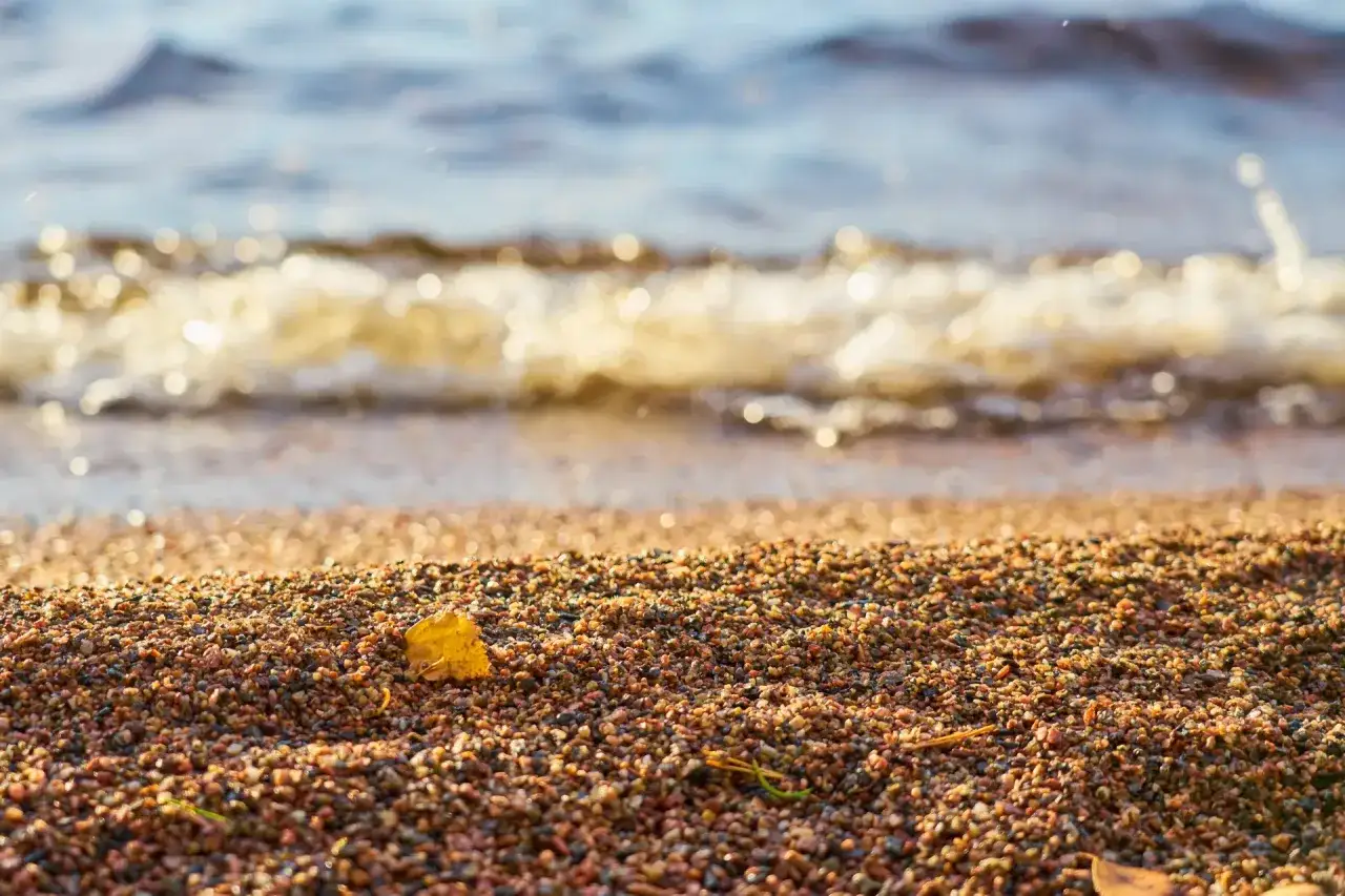 Plaża nad Bałtykiem, gdzie nad morzem jest najwięcej bursztynu. Fale delikatnie rozbijają się o brzeg, a na piasku leży żółty liść.