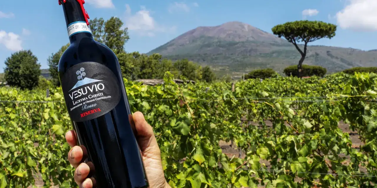 Una mano tiene una bottiglia di vino rosso