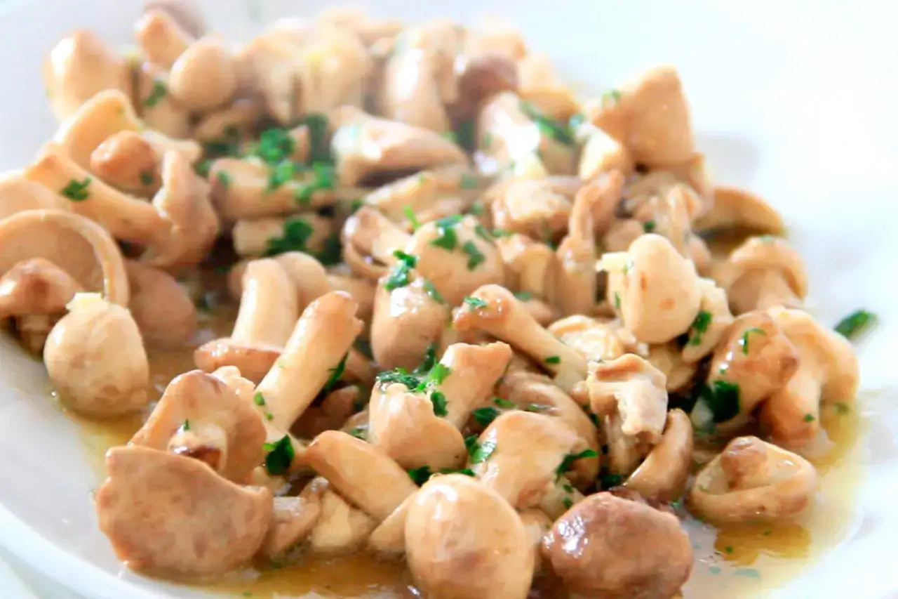 Plato de setas perrechicos salteadas con perejil fresco, listas para disfrutar.