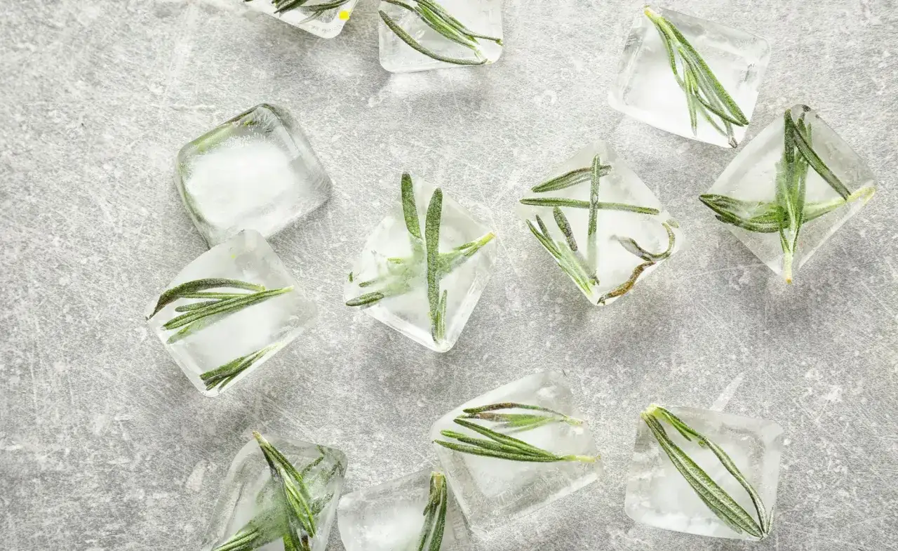 Rosmarin einfrieren: Frische Kräuter in Eiswürfeln für aromatische Cocktails und Gerichte.
