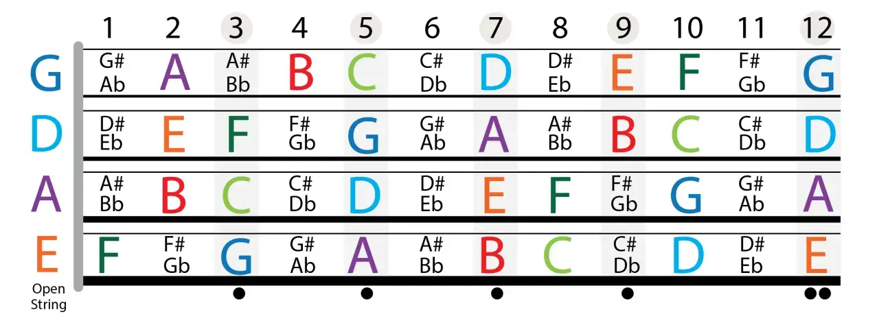 Diagram z podziałką na 12 prog&oacute;w, pokazujący nuty na gitarze. Kolorowe litery oznaczają dźwięki.