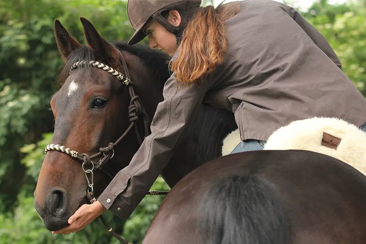 Reiterin mit Sidepull-Trense streichelt Pferdekopf. Vertrauensvoller Moment beim Reiten mit Sidepull.