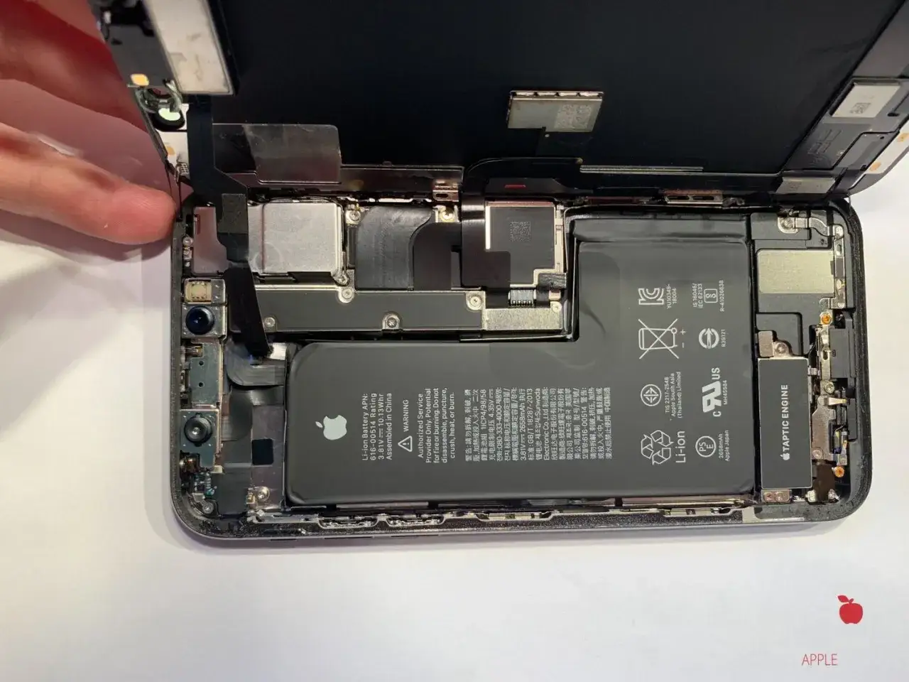 Wnętrze iPhone'a po zalaniu, gotowe do osuszania. Widać baterię, moduły aparatu i taśmę Taptic Engine.